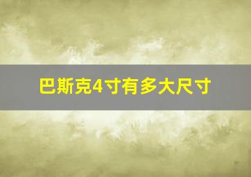 巴斯克4寸有多大尺寸