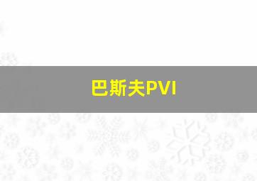 巴斯夫PVI