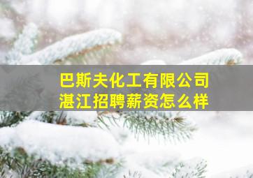 巴斯夫化工有限公司湛江招聘薪资怎么样