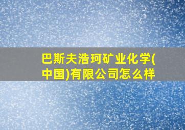 巴斯夫浩珂矿业化学(中国)有限公司怎么样