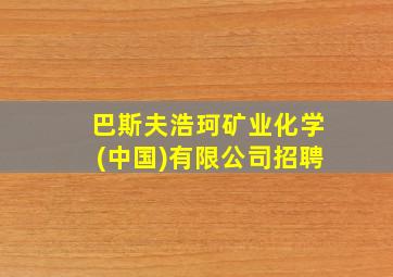 巴斯夫浩珂矿业化学(中国)有限公司招聘