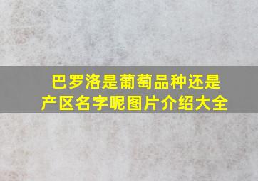 巴罗洛是葡萄品种还是产区名字呢图片介绍大全