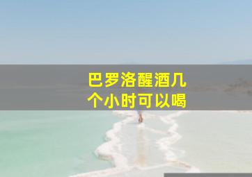 巴罗洛醒酒几个小时可以喝