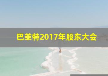 巴菲特2017年股东大会