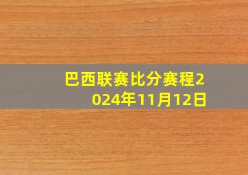 巴西联赛比分赛程2024年11月12日