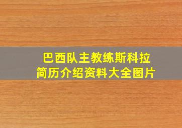 巴西队主教练斯科拉简历介绍资料大全图片