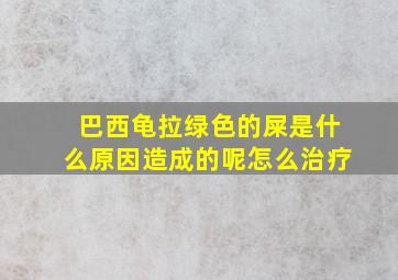 巴西龟拉绿色的屎是什么原因造成的呢怎么治疗