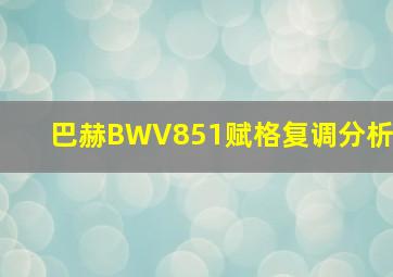 巴赫BWV851赋格复调分析