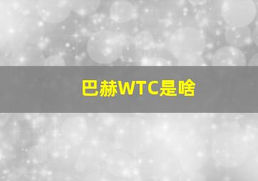 巴赫WTC是啥