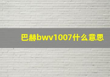 巴赫bwv1007什么意思