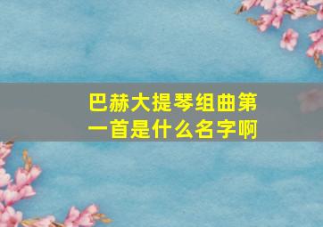 巴赫大提琴组曲第一首是什么名字啊