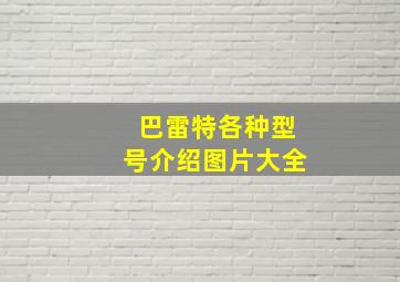 巴雷特各种型号介绍图片大全