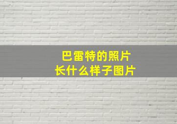 巴雷特的照片长什么样子图片