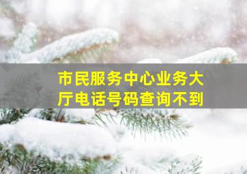 市民服务中心业务大厅电话号码查询不到