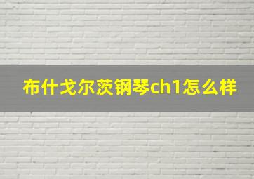 布什戈尔茨钢琴ch1怎么样