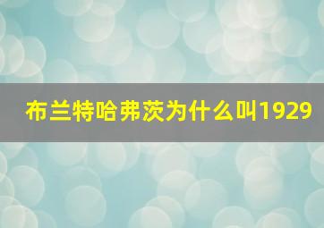 布兰特哈弗茨为什么叫1929