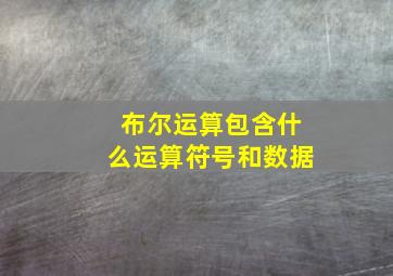 布尔运算包含什么运算符号和数据