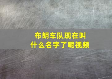 布朗车队现在叫什么名字了呢视频