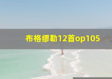 布格缪勒12首op105