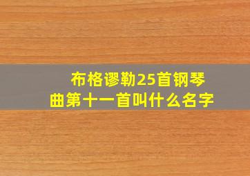 布格谬勒25首钢琴曲第十一首叫什么名字