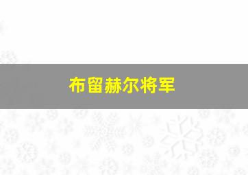 布留赫尔将军