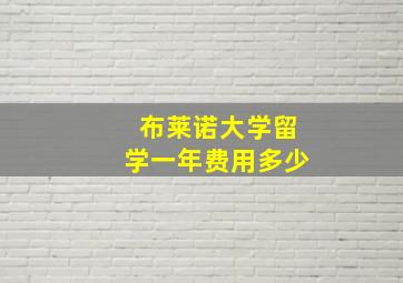 布莱诺大学留学一年费用多少