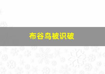 布谷鸟被识破