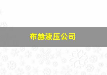 布赫液压公司