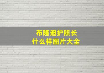 布隆迪护照长什么样图片大全