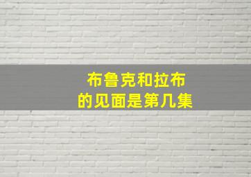 布鲁克和拉布的见面是第几集