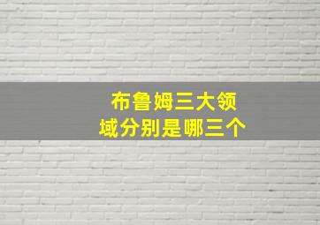 布鲁姆三大领域分别是哪三个