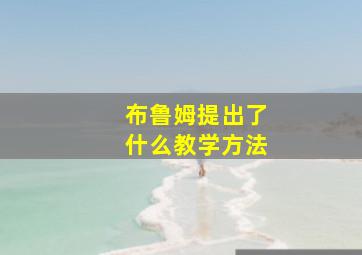 布鲁姆提出了什么教学方法