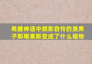 希腊神话中顾影自怜的美男子那喀索斯变成了什么植物