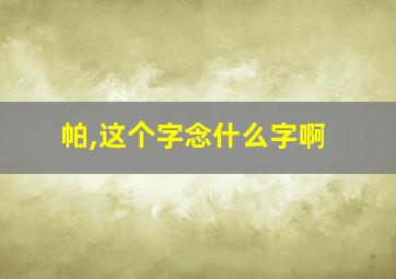 帕,这个字念什么字啊