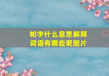 帕字什么意思解释词语有哪些呢图片