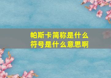 帕斯卡简称是什么符号是什么意思啊