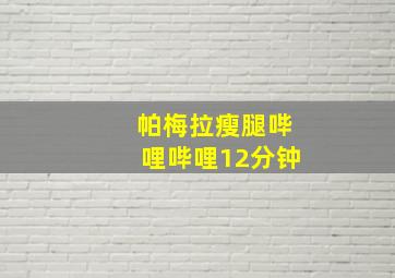 帕梅拉瘦腿哔哩哔哩12分钟