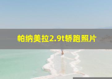 帕纳美拉2.9t轿跑照片