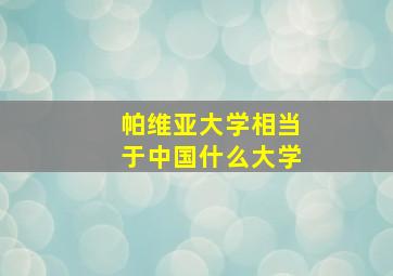 帕维亚大学相当于中国什么大学