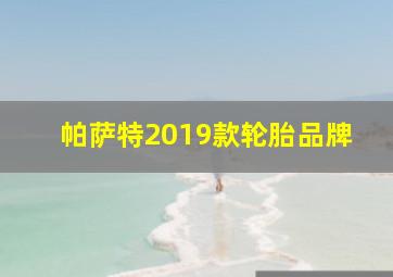 帕萨特2019款轮胎品牌