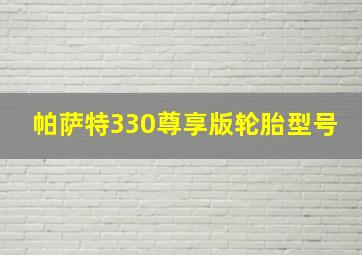 帕萨特330尊享版轮胎型号