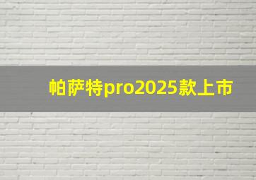 帕萨特pro2025款上市