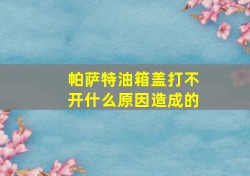 帕萨特油箱盖打不开什么原因造成的