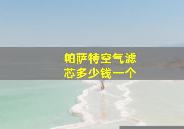 帕萨特空气滤芯多少钱一个