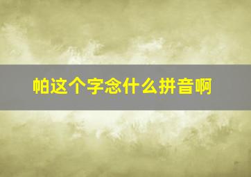 帕这个字念什么拼音啊