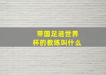 带国足进世界杯的教练叫什么