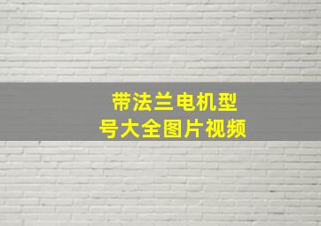 带法兰电机型号大全图片视频