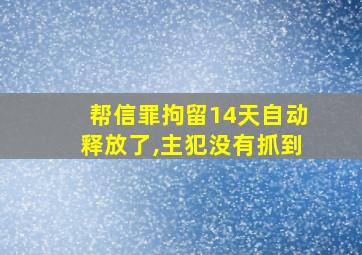 帮信罪拘留14天自动释放了,主犯没有抓到