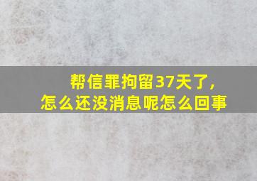 帮信罪拘留37天了,怎么还没消息呢怎么回事