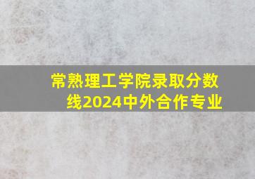 常熟理工学院录取分数线2024中外合作专业